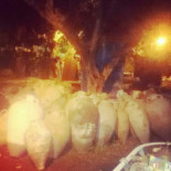 Germaine Café Bebida