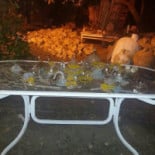 Germaine Café Exterior