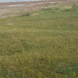 Cap Kelibia Exterior