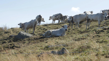 مقهى علالة دار زمان تطاوين Café Allèla Dar Zmèn Tataouine Exterior